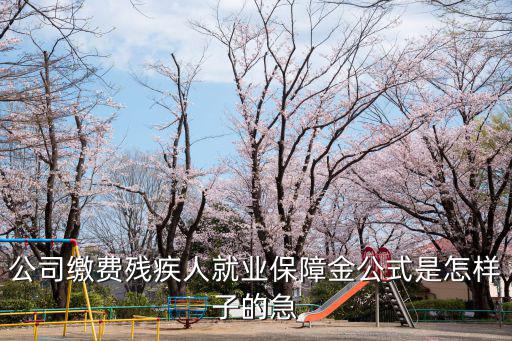 公司繳費(fèi)殘疾人就業(yè)保障金公式是怎樣子的急