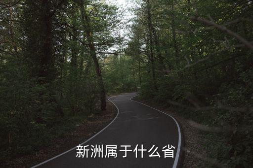 新洲，新洲屬于什么省
