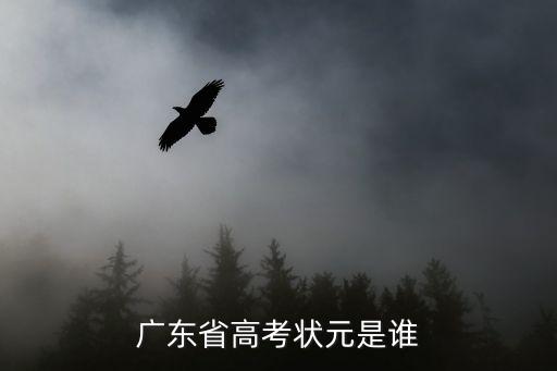 廣東省高考狀元是誰(shuí)