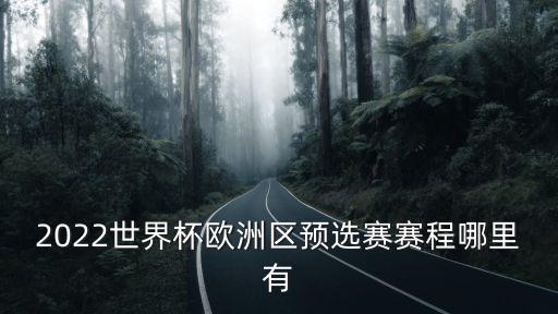 2022世界杯歐洲區預選賽賽程哪里有