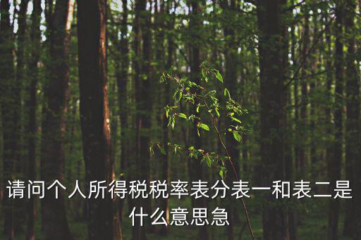 請問個人所得稅稅率表分表一和表二是什么意思急