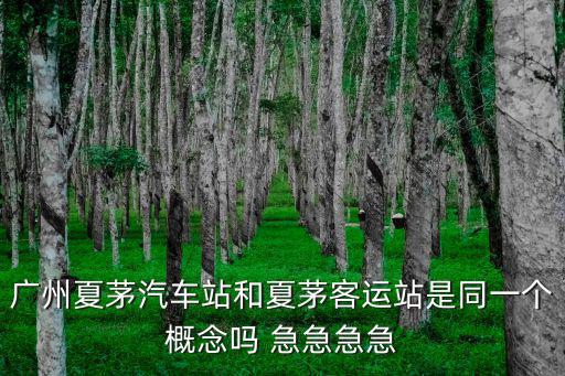 夏茅客運站，廣州夏茅汽車站和夏茅客運站是同一個概念嗎 急急急急