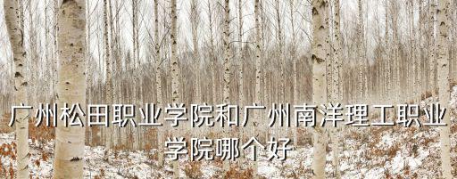 廣州松田職業(yè)學(xué)院和廣州南洋理工職業(yè)學(xué)院哪個(gè)好