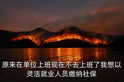 原來在單位上班現(xiàn)在不去上班了我想以靈活就業(yè)人員繳納社保
