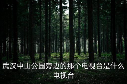 武漢中山公園旁邊的那個電視臺是什么電視臺