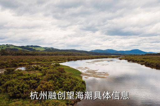 杭州融創(chuàng)望海潮具體信息