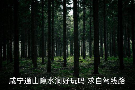 咸寧通山隱水洞好玩嗎 求自駕線路