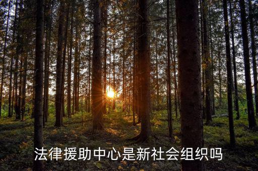 法律援助中心是新社會組織嗎