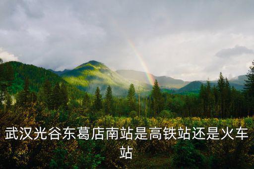 武漢光谷東葛店南站是高鐵站還是火車站