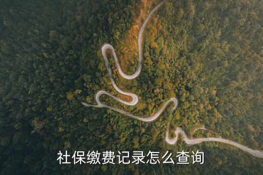 社保繳費記錄怎么查詢