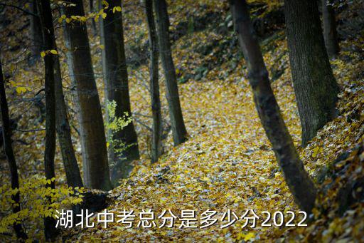 湖北中考總分是多少分2022