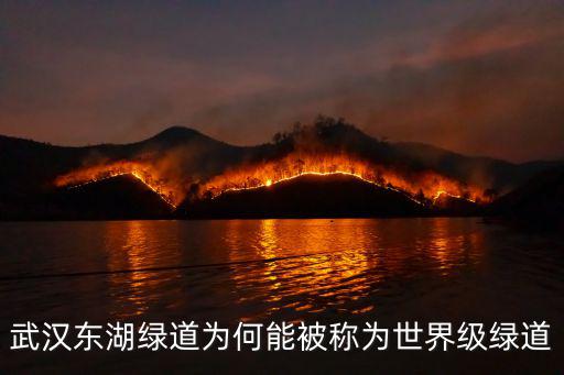 武漢綠道，武漢東湖綠道全長多少公里
