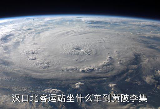漢口北客運站坐什么車到黃陂李集