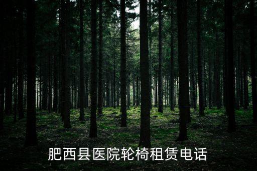 肥西縣醫(yī)院輪椅租賃電話