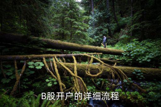 B股開戶的詳細(xì)流程