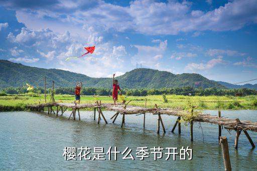 櫻花是什么季節開的