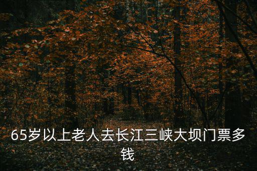 三峽大壩門票，三峽大壩不要門票但要車費35