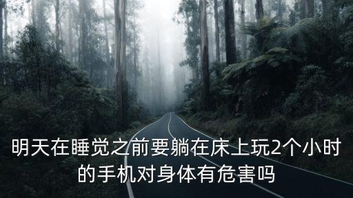 明天在睡覺之前要躺在床上玩2個小時的手機對身體有危害嗎