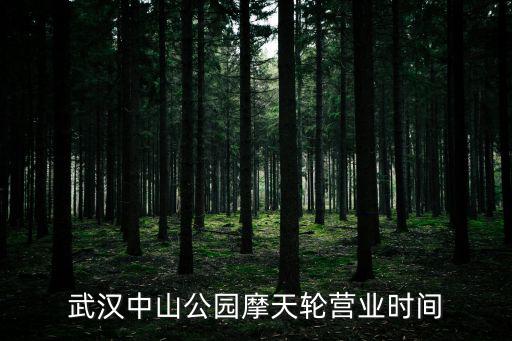 武漢中山公園，武漢地鐵中山公園站離中山公園多遠