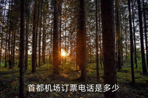 首都機(jī)場(chǎng)訂票電話是多少