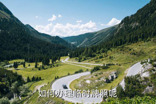 臨時號牌，如何辦理臨時牌照呢