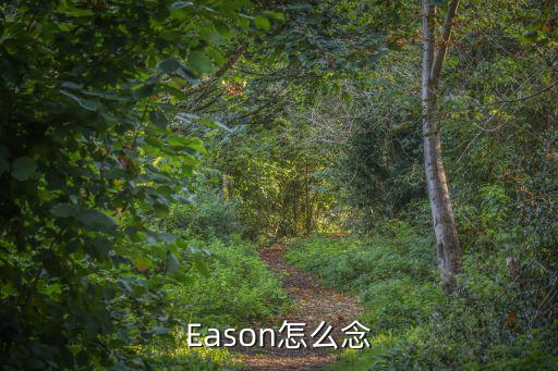 Eason怎么念