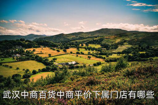 武漢中商百貨中商平價下屬門店有哪些
