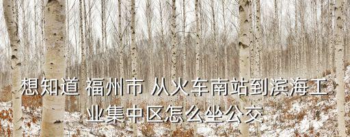 想知道 福州市 從火車南站到濱海工業集中區怎么坐公交