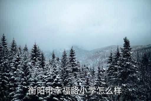 衡陽(yáng)市幸福路小學(xué)怎么樣
