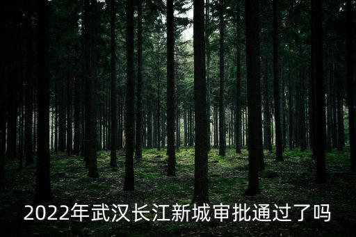 2022年武漢長江新城審批通過了嗎