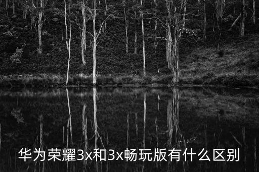 華為榮耀3x和3x暢玩版有什么區別