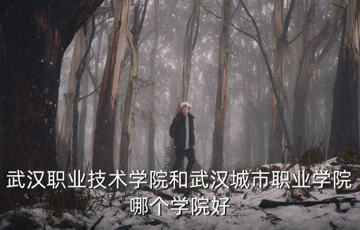 武漢職業(yè)技術(shù)學(xué)院和武漢城市職業(yè)學(xué)院哪個(gè)學(xué)院好