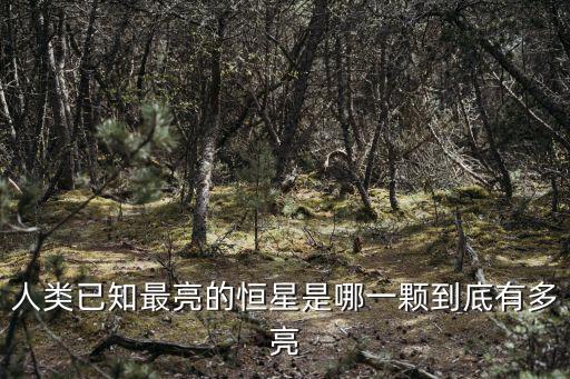 人類已知最亮的恒星是哪一顆到底有多亮