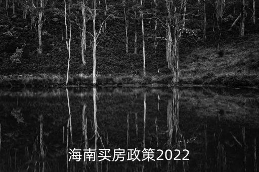 海南買房政策2022