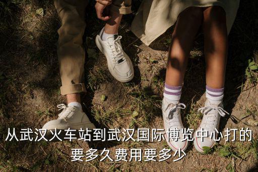從武漢火車站到武漢國際博覽中心打的要多久費用要多少
