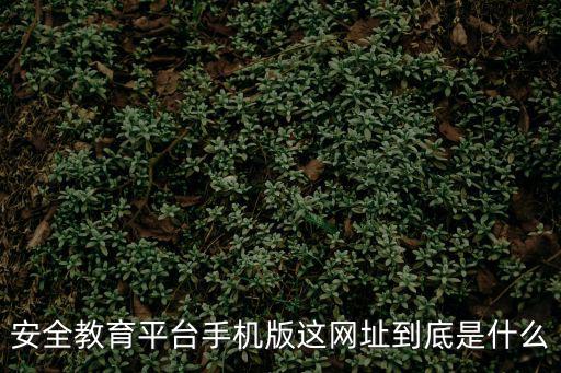 浙江安全教育平臺，安全教育平臺為啥一直是未完成有時(shí)間限制嗎