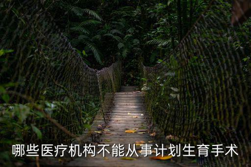 哪些醫(yī)療機(jī)構(gòu)不能從事計(jì)劃生育手術(shù)