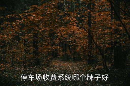 停車場收費系統哪個牌子好
