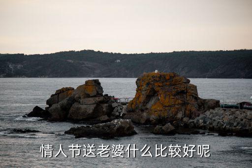 情人節送老婆什么比較好呢