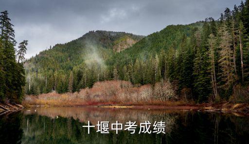 十堰中考成績