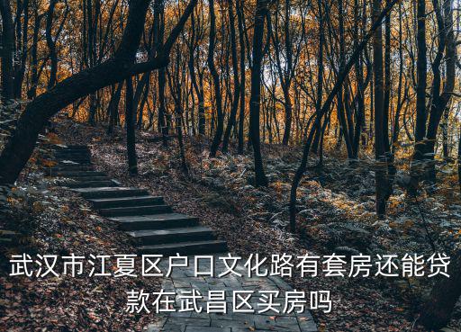 武漢市江夏區(qū)戶口文化路有套房還能貸款在武昌區(qū)買房嗎