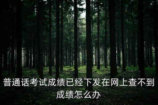 普通話成績(jī)查不到，普通話考試成績(jī)已經(jīng)下發(fā)在網(wǎng)上查不到成績(jī)?cè)趺崔k