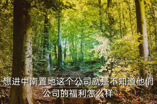 想進中南置地這個公司就是不知道他們公司的福利怎么樣