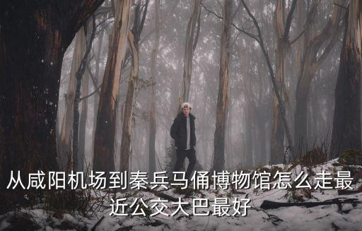 從咸陽機場到秦兵馬俑博物館怎么走最近公交大巴最好