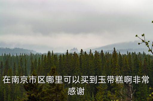 在南京市區(qū)哪里可以買到玉帶糕啊非常感謝