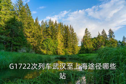 G1722次列車武漢至上海途徑哪些站