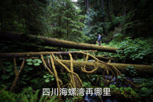 四川海螺灣再哪里