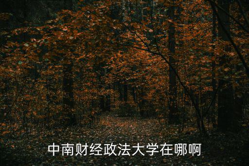 中南財經政法大學在哪啊