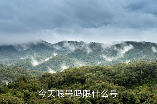 今天限號嗎限什么號