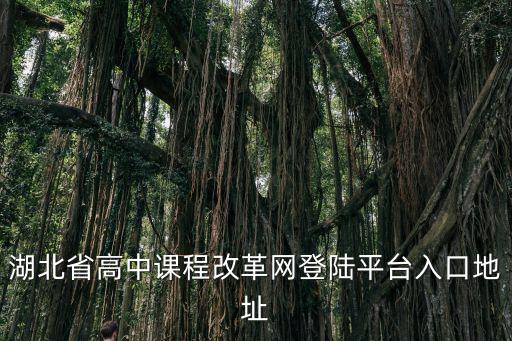 湖北高考改革網，湖北省高中課程改革網怎么查成績